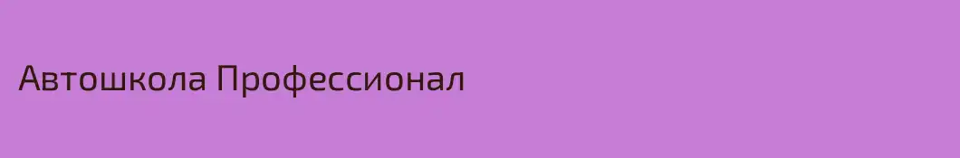 Автошкола Профессионал